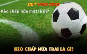 Kèo Chấp Nữa Trái Là Gì?